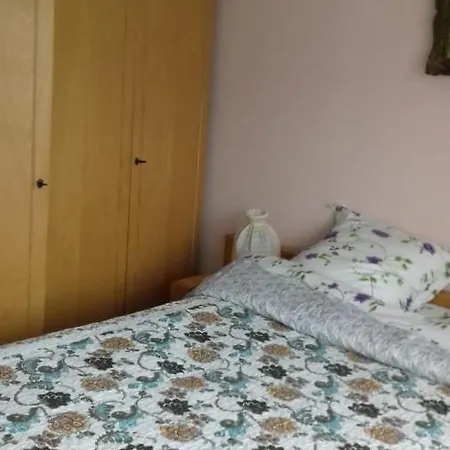 Pensiunea Irina * Singeorz-Bai