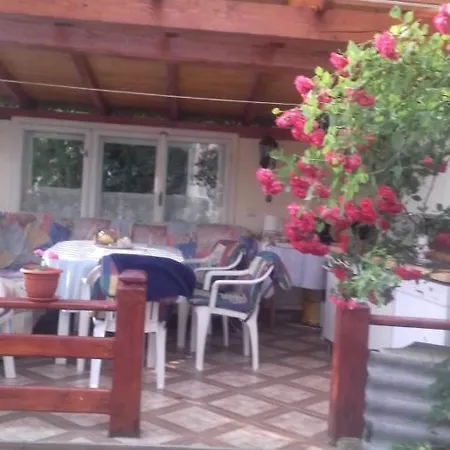 Pensiunea Irina Guest house