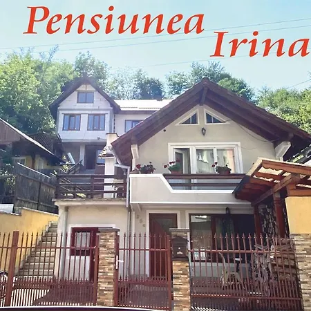 Guest house Pensiunea Irina *