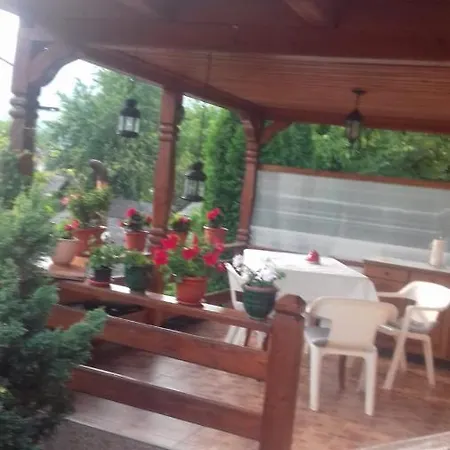 Guest house Pensiunea Irina Singeorz-Bai
