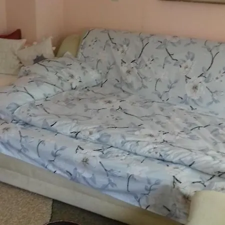 Pensiunea Irina Guest house Singeorz-Bai