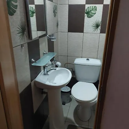 Guest house Pensiunea Irina *