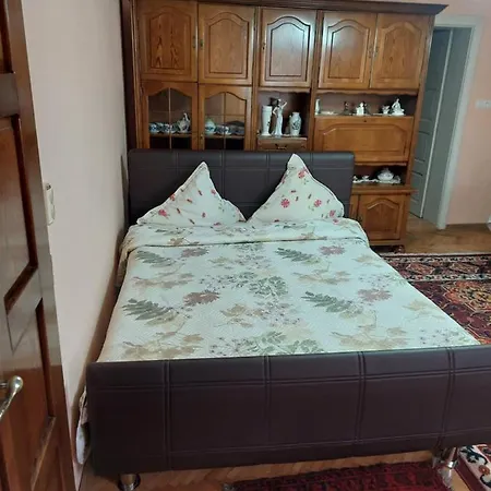 Pensiunea Irina Guest house *