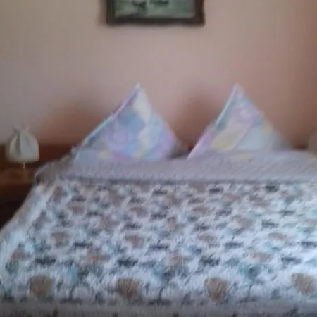 Guest house Pensiunea Irina