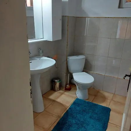 Guest house Pensiunea Irina Singeorz-Bai