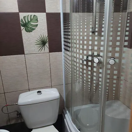Pensiunea Irina Guest house
